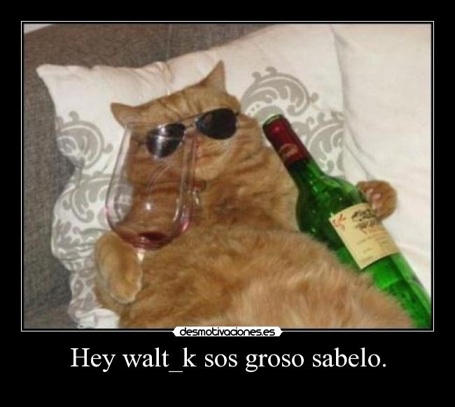 Hey walt_k sos groso sabelo. -