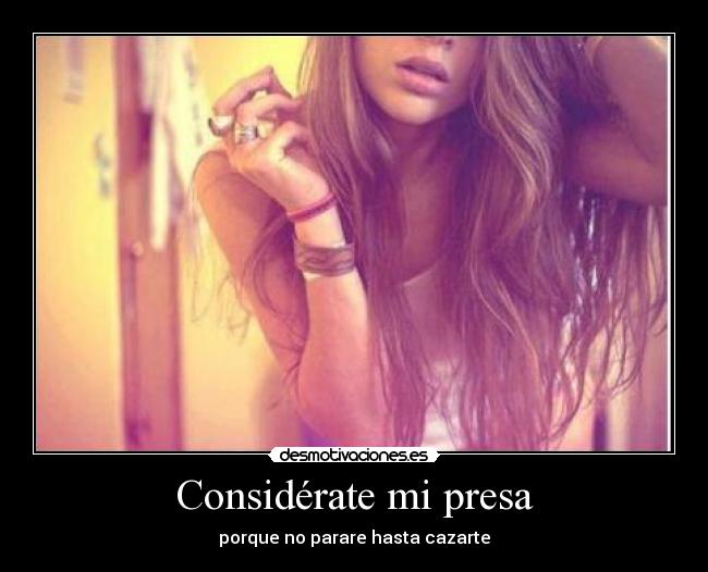 Considérate mi presa - porque no parare hasta cazarte