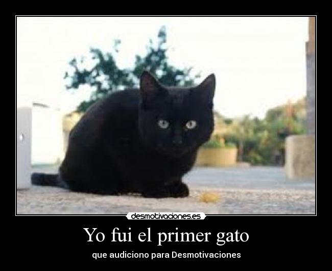 Yo fui el primer gato - que audiciono para Desmotivaciones