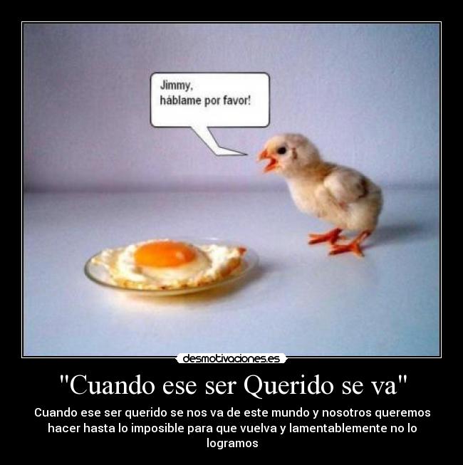 Cuando ese ser Querido se va - 