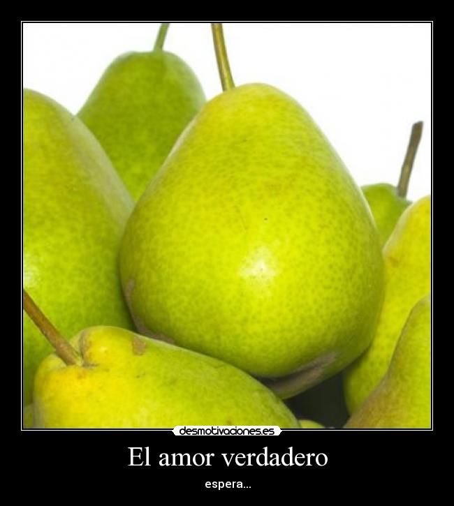 El amor verdadero - espera...