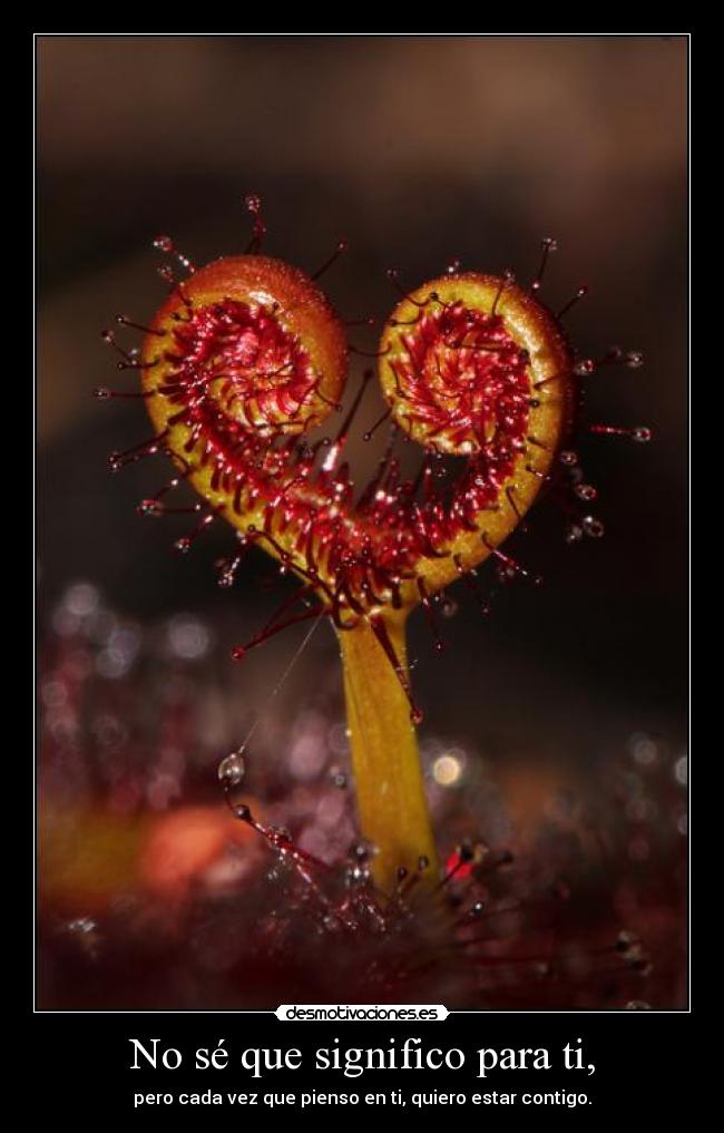 carteles quiero estar contigo desmotivaciones