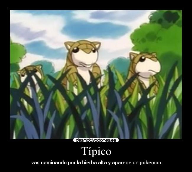 Típico - vas caminando por la hierba alta y aparece un pokemon