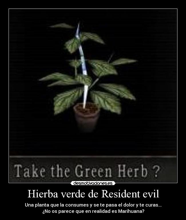 Hierba verde de Resident evil - Una planta que la consumes y se te pasa el dolor y te curas...
¿No os parece que en realidad es Marihuana?