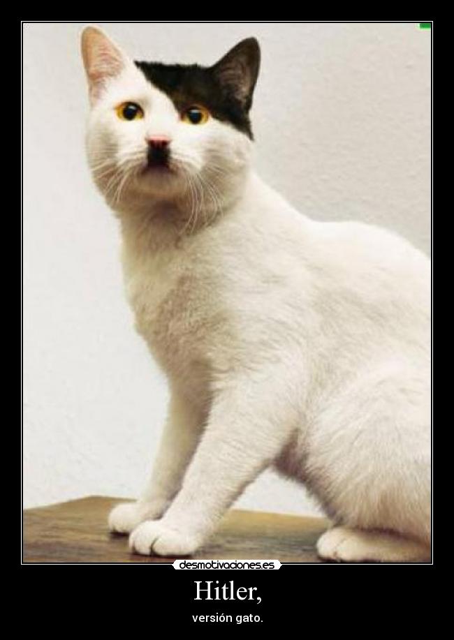 Hitler, -