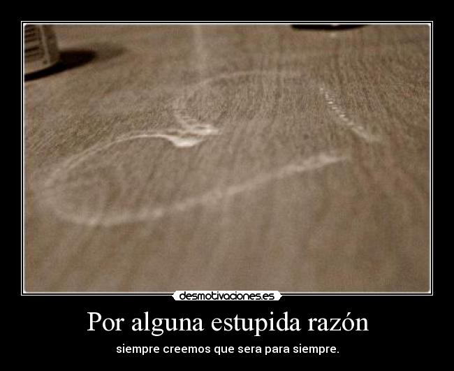 Por alguna estupida razón -