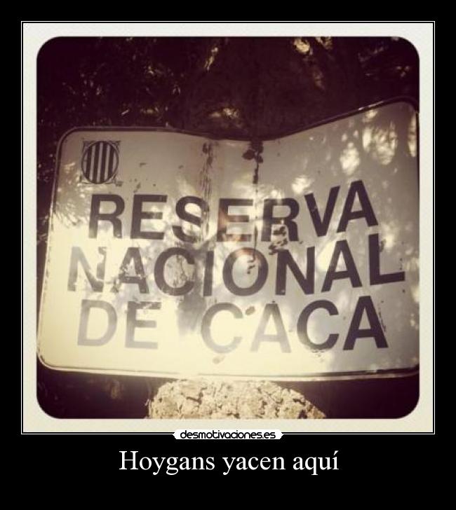 Hoygans yacen aquí - 