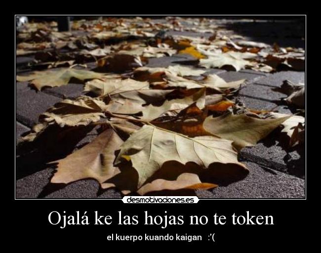 carteles ojala desmotivaciones