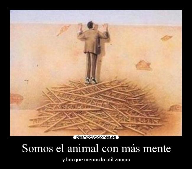 Somos el animal con más mente - y los que menos la utilizamos