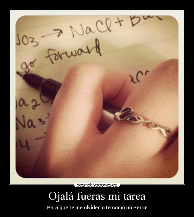 Ojalá fueras mi tarea - Para que te me olvides o te como un Perro!