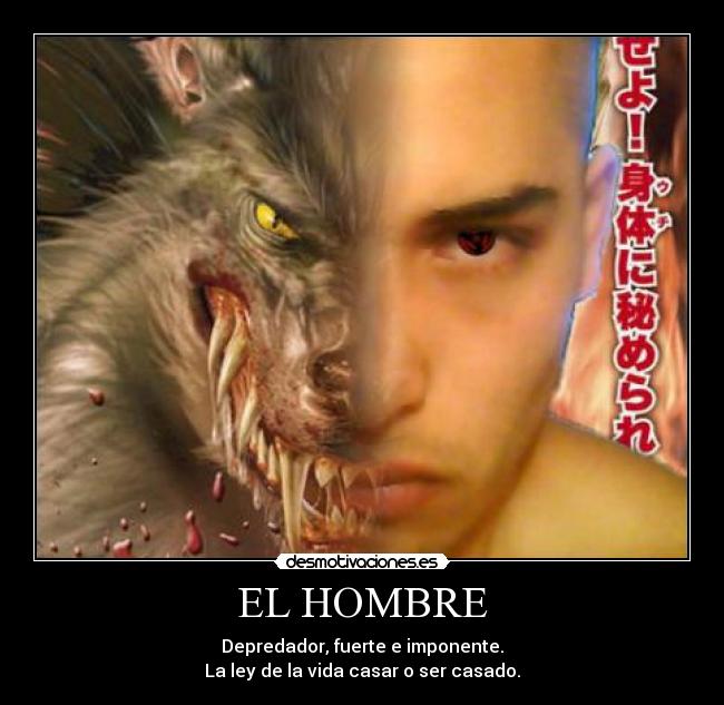 EL HOMBRE - Depredador, fuerte e imponente.
La ley de la vida casar o ser casado.
