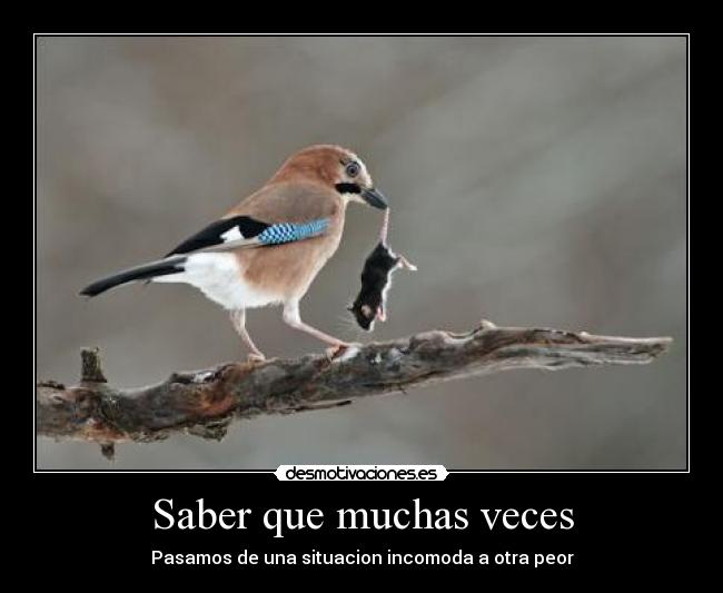 Saber que muchas veces - 