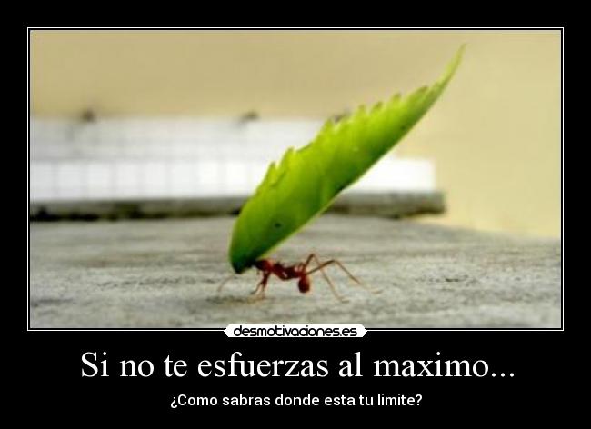 Si no te esfuerzas al maximo... - ¿Como sabras donde esta tu limite?