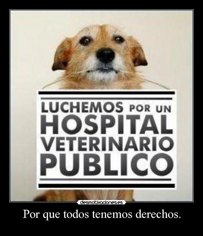 Por que todos tenemos derechos. - 