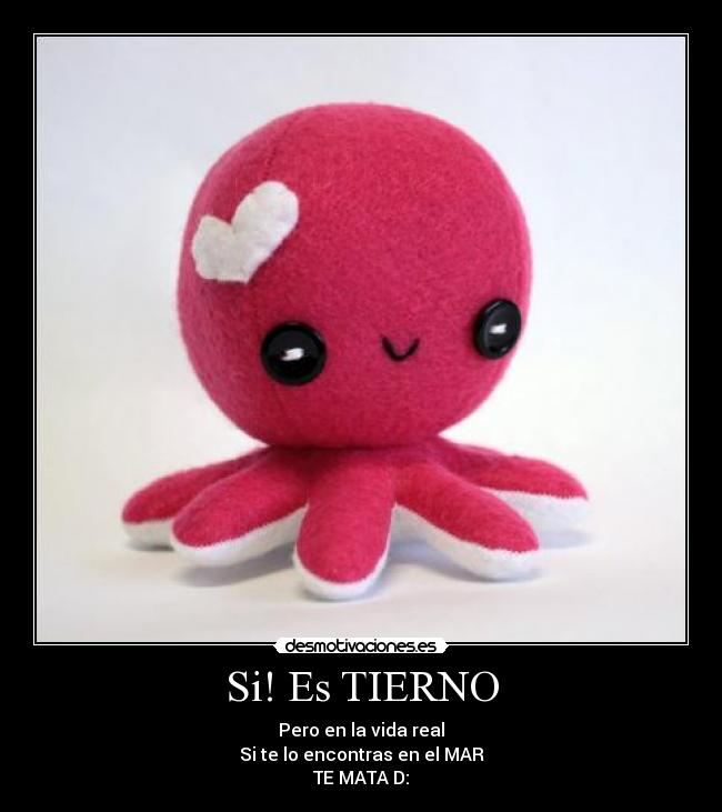 Si! Es TIERNO - Pero en la vida real
Si te lo encontras en el MAR
TE MATA D: