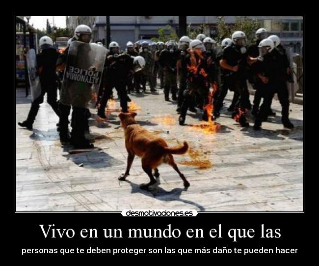 Vivo en un mundo en el que las - 