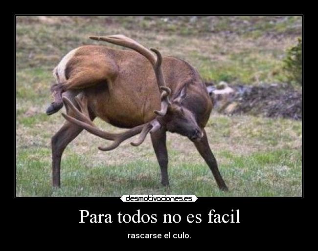 Para todos no es facil - 