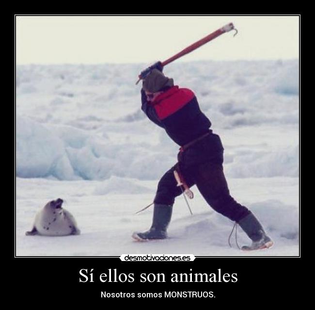 Sí ellos son animales - Nosotros somos MONSTRUOS.