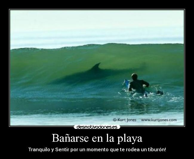 Bañarse en la playa - Tranquilo y Sentir por un momento que te rodea un tiburón!