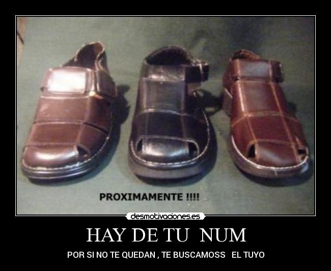 carteles cachetes chavezz desmotivaciones