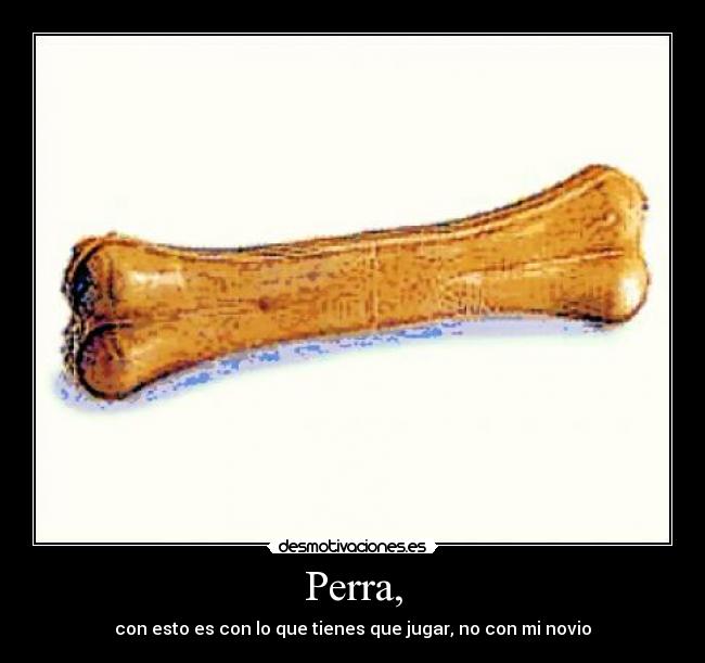 Perra, -