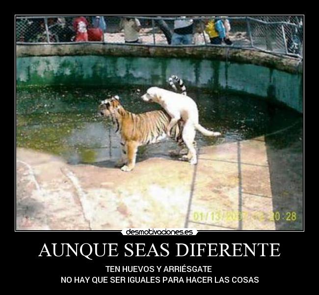 AUNQUE SEAS DIFERENTE - TEN HUEVOS Y ARRIÉSGATE 
NO HAY QUE SER IGUALES PARA HACER LAS COSAS