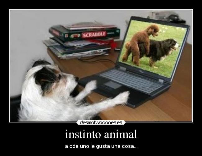 instinto animal - a cda uno le gusta una cosa...
