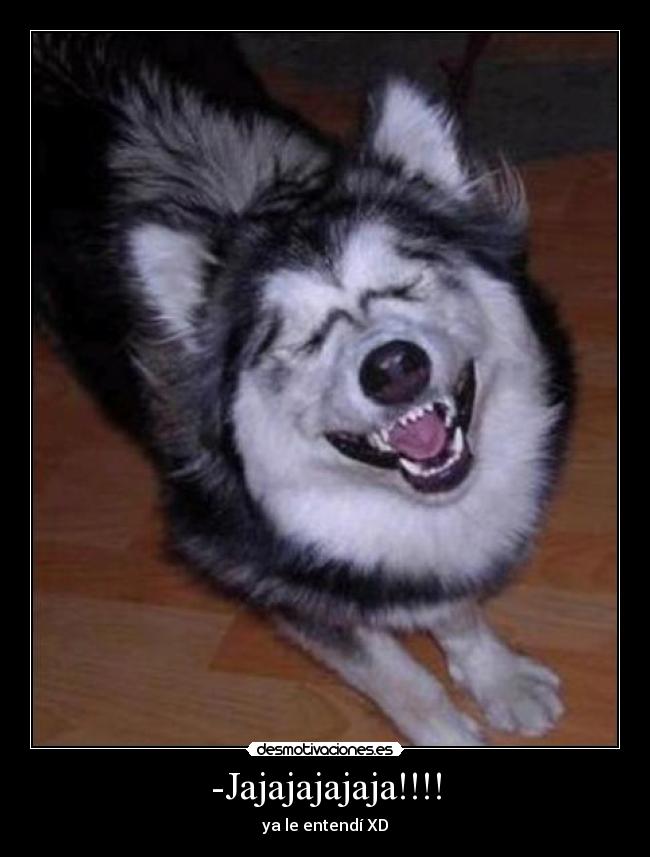 -Jajajajajaja!!!! - ya le entendí XD