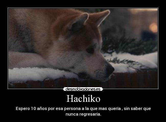 Hachiko -