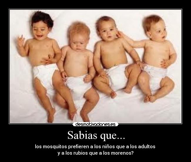 carteles mosquitos prefieren ninos rubios desmotivaciones