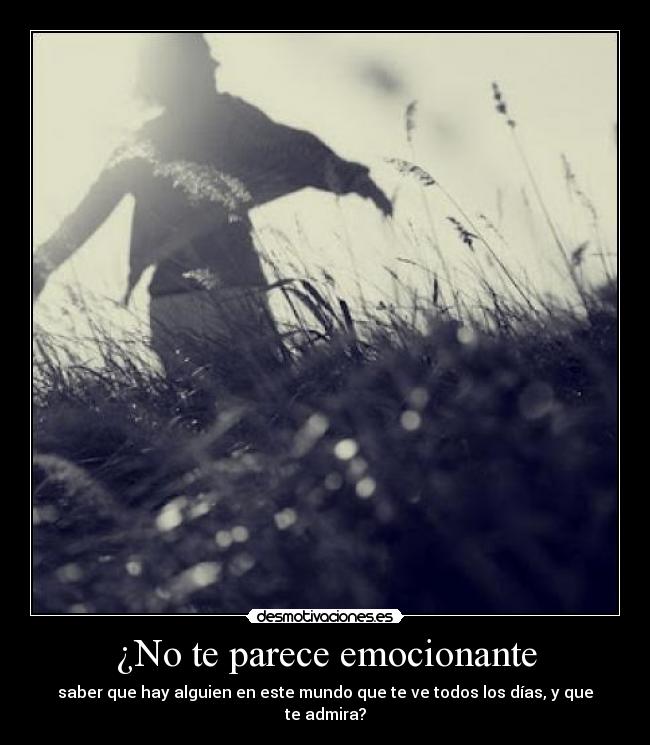 ¿No te parece emocionante - 