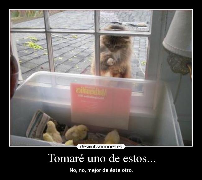 Tomaré uno de estos... - No, no, mejor de éste otro.