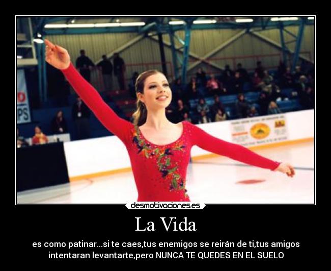 carteles vida suenos sobre hielo desmotivaciones