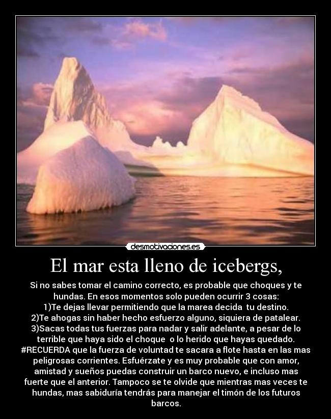 El mar esta lleno de icebergs, -