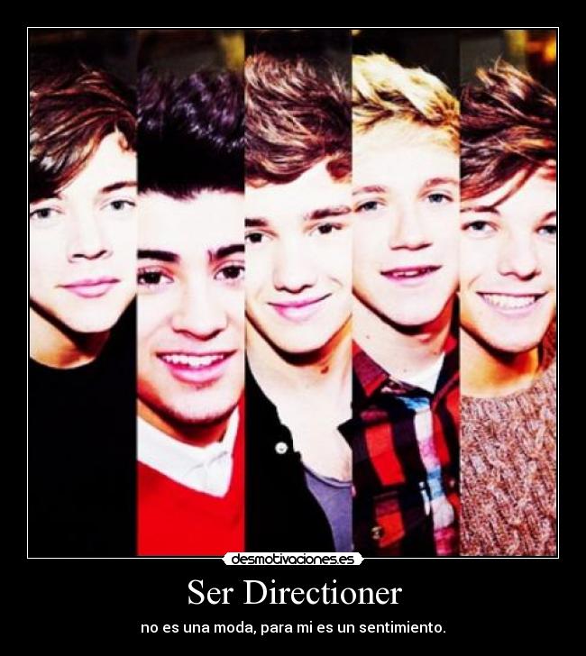 Ser Directioner -