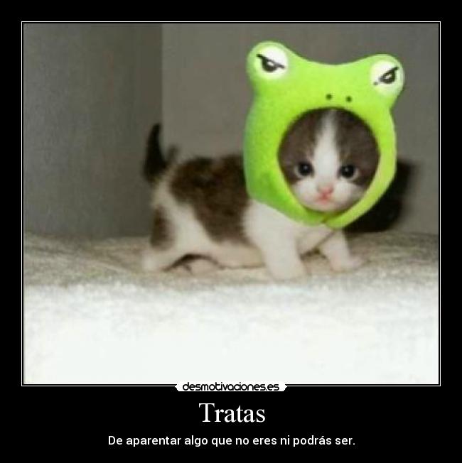 Tratas -