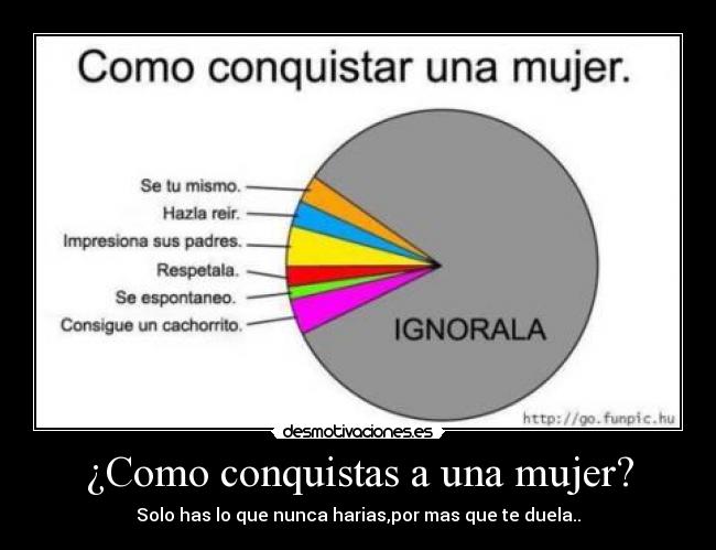 carteles mujer ignorala mujer amada cachorro grafica desmotivaciones