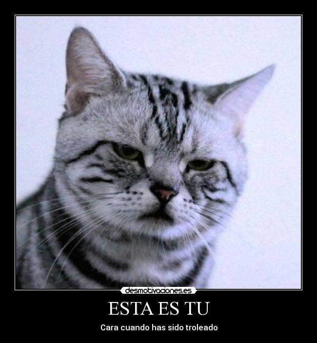 carteles trollface desmotivaciones