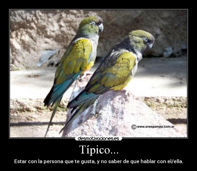 Típico... - Estar con la persona que te gusta, y no saber de que hablar con el/ella.