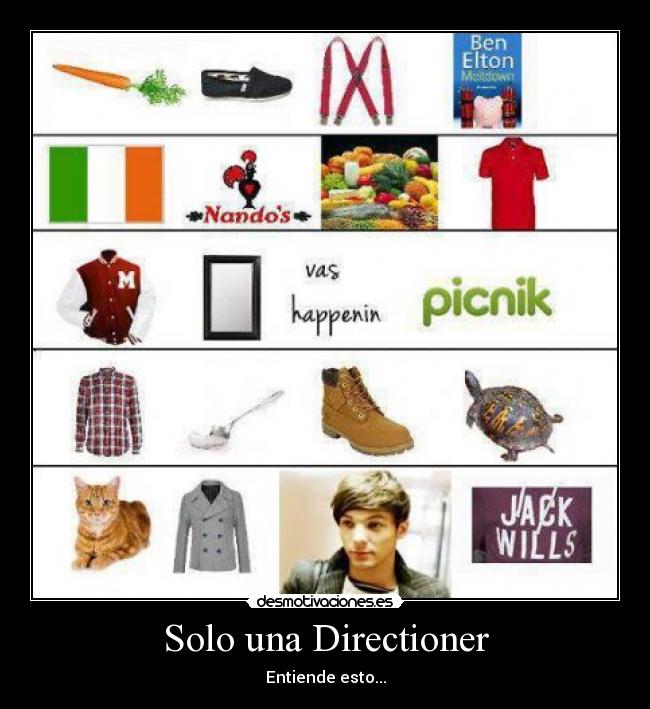 carteles louistomlinson niallhoran zaynmalik liampayne harrystyles onedirection directioner desmotivaciones