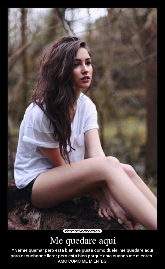 Me quedare aquí - Y verme quemar pero esta bien me gusta como duele, me quedare aquí
para escucharme llorar pero esta bien porque amo cuando me mientes...
AMO COMO ME MIENTES.