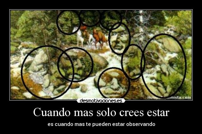 Cuando mas solo crees estar - 