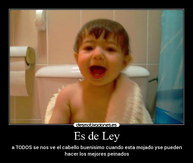 Es de Ley -