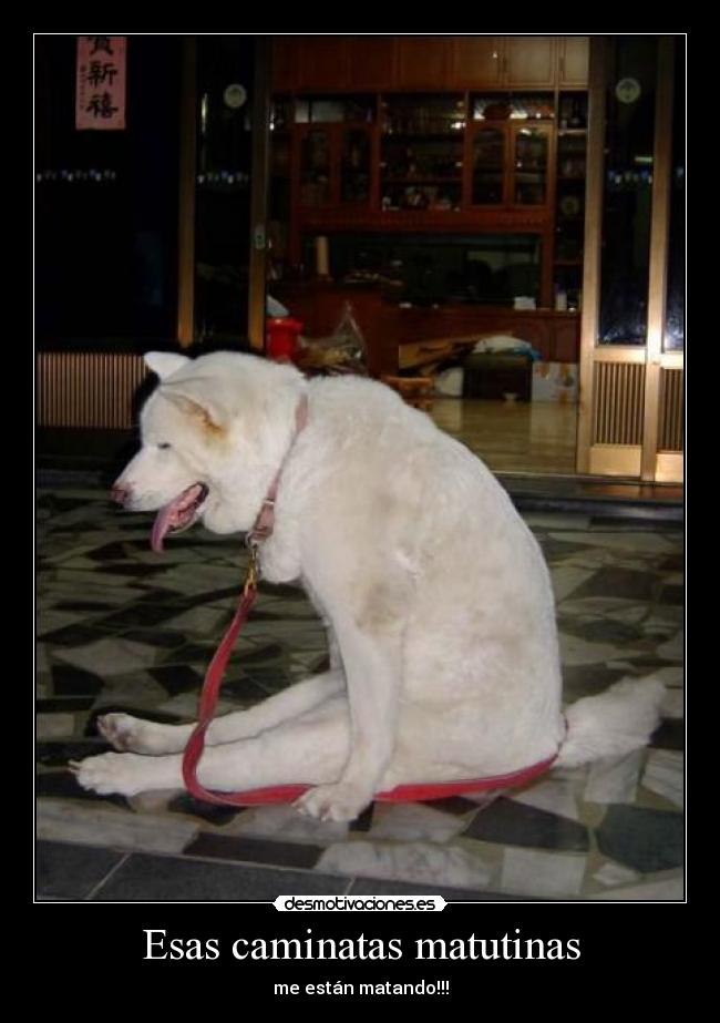 Esas caminatas matutinas - 