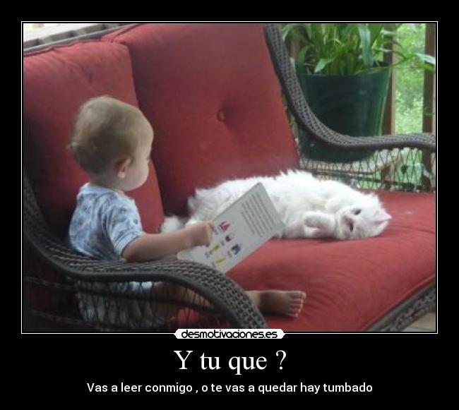 Y tu que ? -