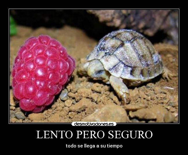 LENTO PERO SEGURO -