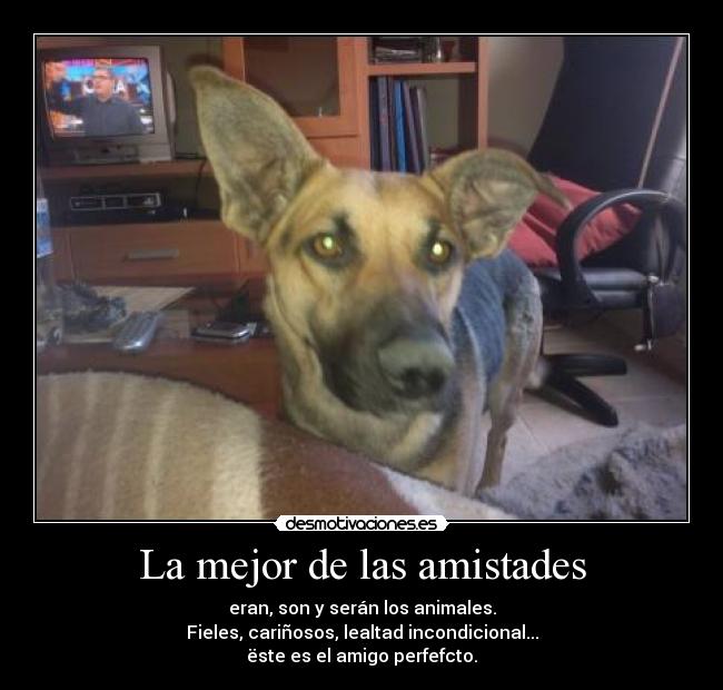 La mejor de las amistades -