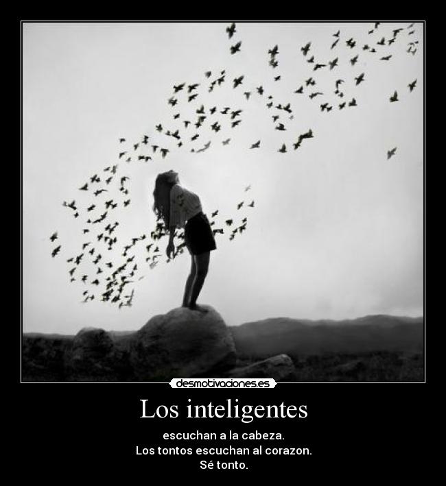 carteles se tonto desmotivaciones