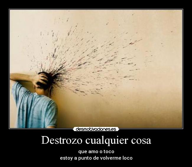 Destrozo cualquier cosa -
