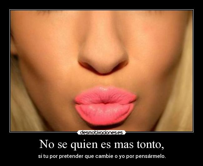 No se quien es mas tonto, -